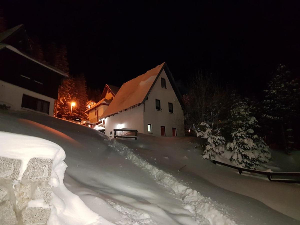 Apartment Petrovic Kopaonik Esterno foto